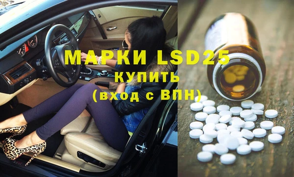 ПСИЛОЦИБИНОВЫЕ ГРИБЫ Гусь-Хрустальный