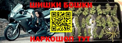 молекула духа Бердск