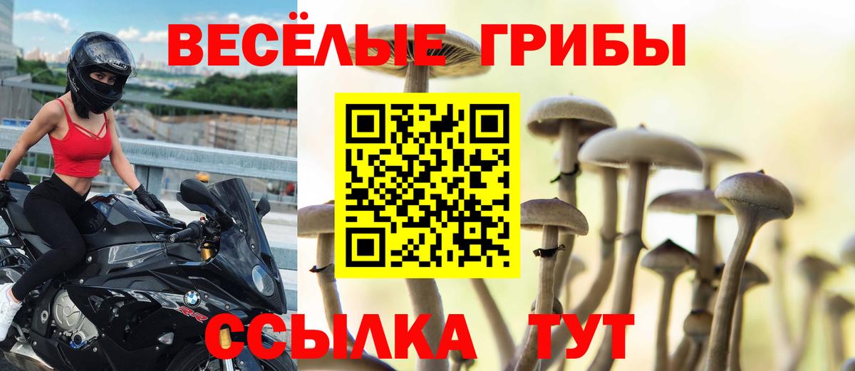Галлюциногенные грибы Magic Shrooms  Вход с VPN  даркнет сайт  Пермь 