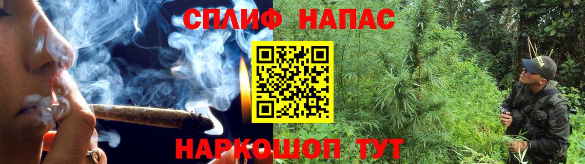 Конопля конопля  Вход с VPN  Пермь  Марихуана Amnesia  Конопля планчик  Бошки марихуана гибрид 